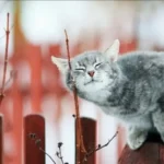 погода в березні