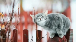 погода в березні