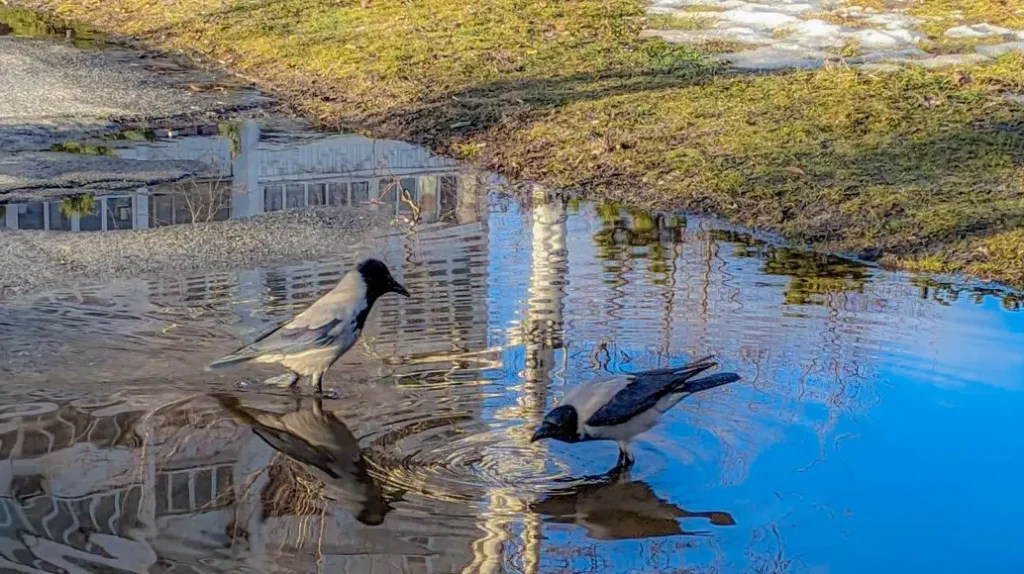погода в марте