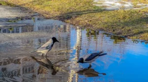 погода в марте