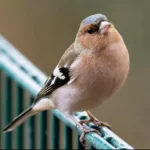 Погода в березні