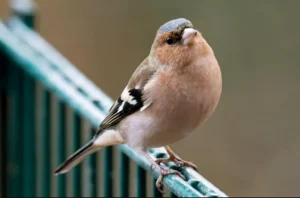 Погода в березні