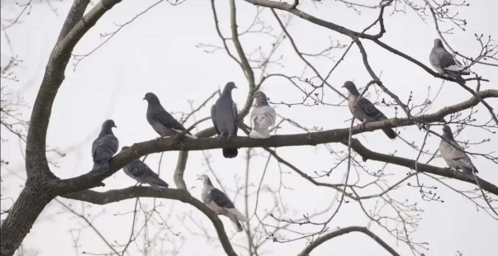 погода в марте