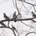 погода в березні