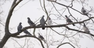 погода в березні