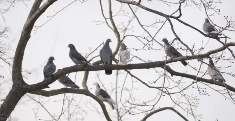 погода в марте