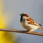 погода в декабре