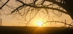 погода в декабре