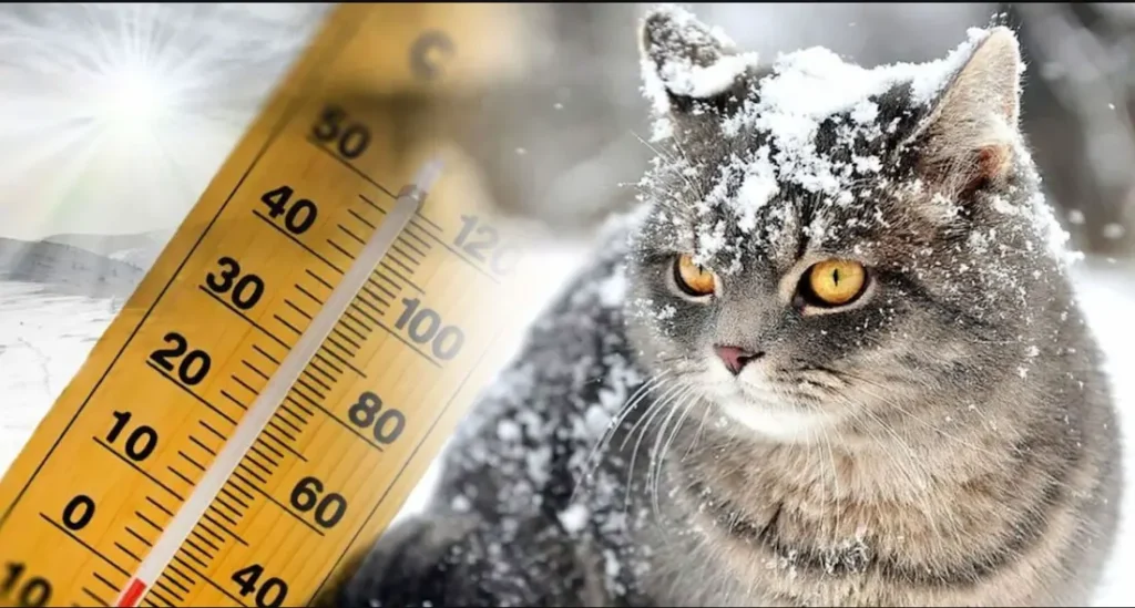 погода в декабре