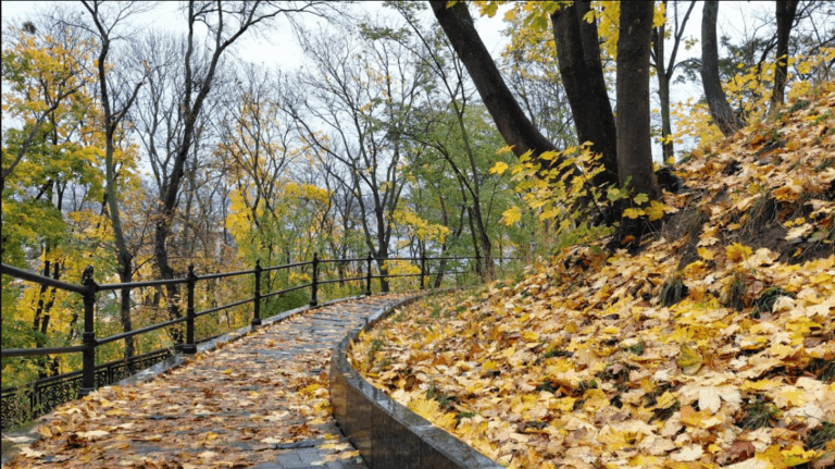 погода в грудні