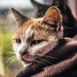 погода в апреле