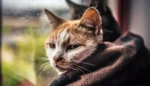 погода в апреле