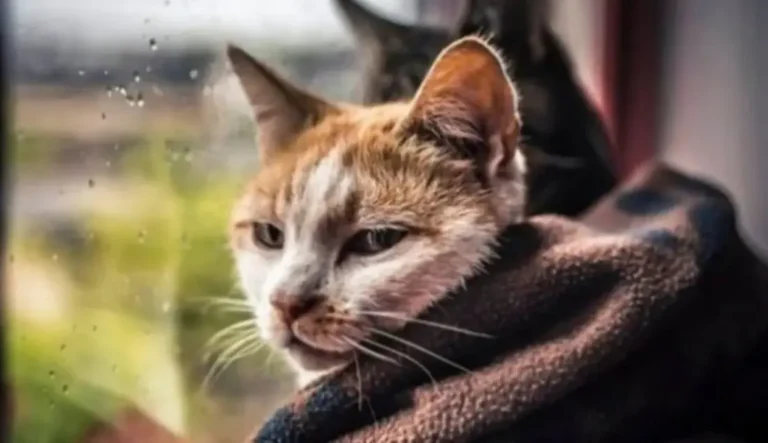 погода в апреле