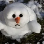 погода в феврале