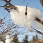 погода в феврале