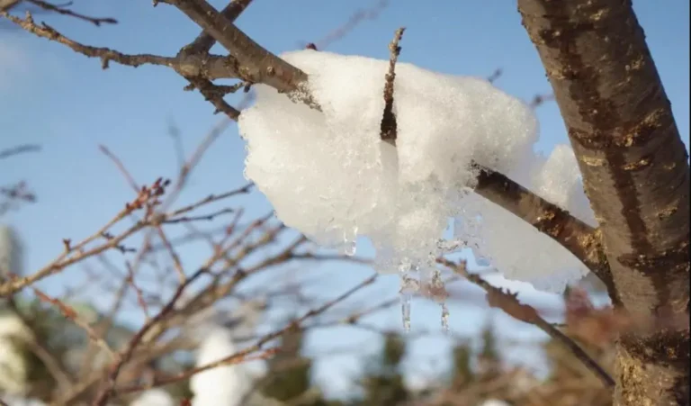 погода в феврале