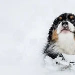 погода в лютому