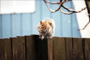 погода в феврале