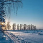 погода в январе