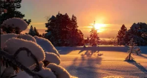 погода в січні