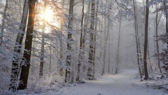 огода в Україні 17 січня