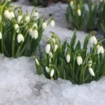 погода в Україні