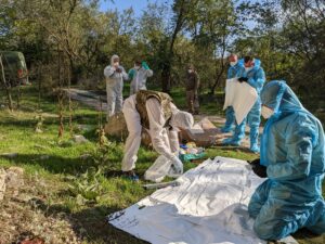 Поиск пропавших