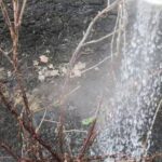 полив кустов зимой