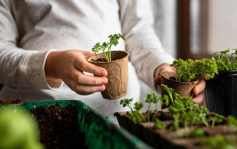 посівний календар на грудень 2025