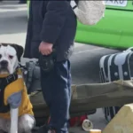 поездка за границу