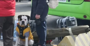 поїздка за кордон