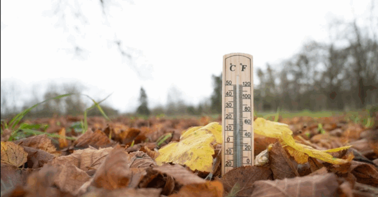 Прогноз погоды