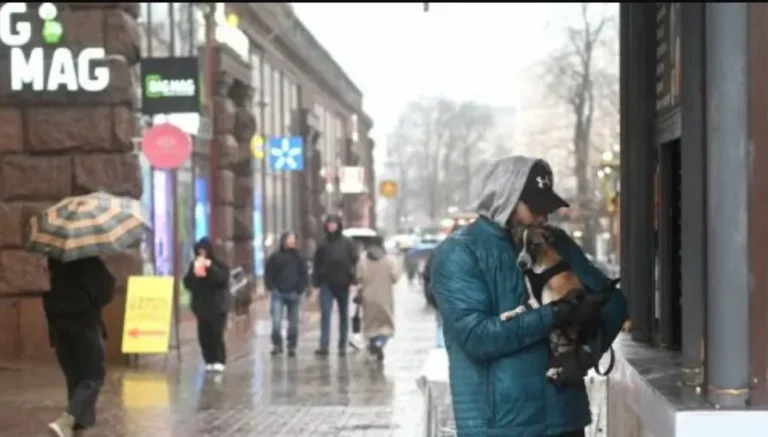 прогноз погоды