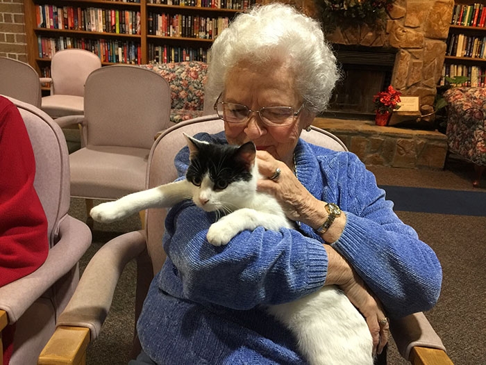 Пожилые кошки помогают пожилым людям (ФОТО)
