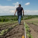 Приватизована земля