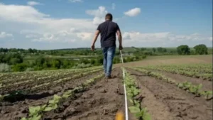 Приватизована земля