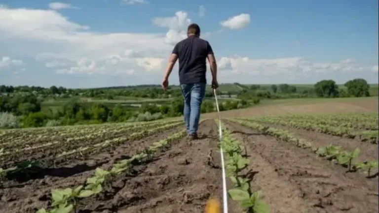приватизированная земля