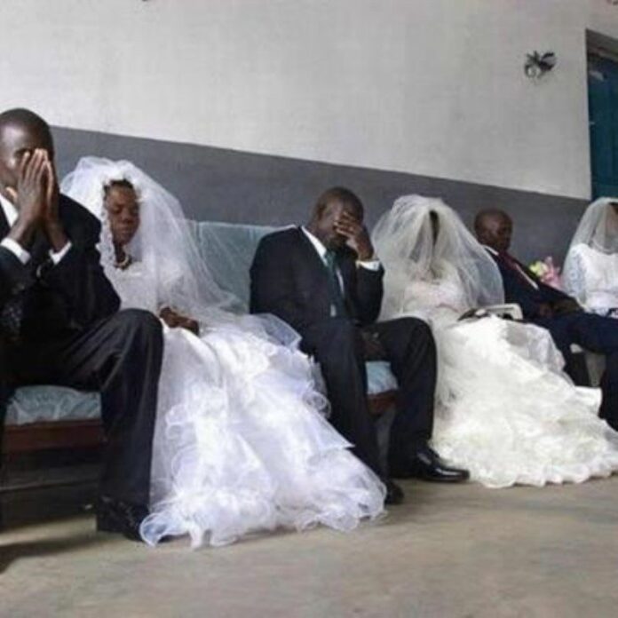 Женихи и невесты