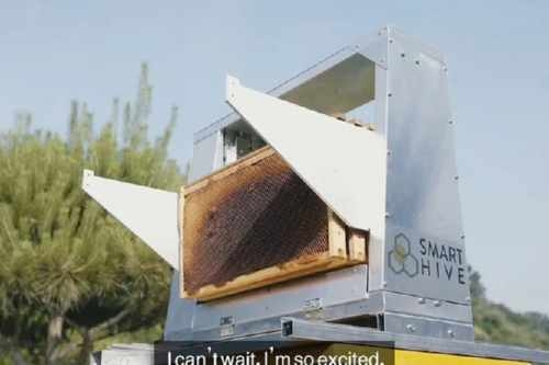 Корейские ученые создали робота-пчеловода, который помогает собирать соты с ульев