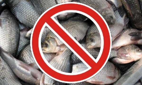 В украине начался запрет на ловлю рыбы
