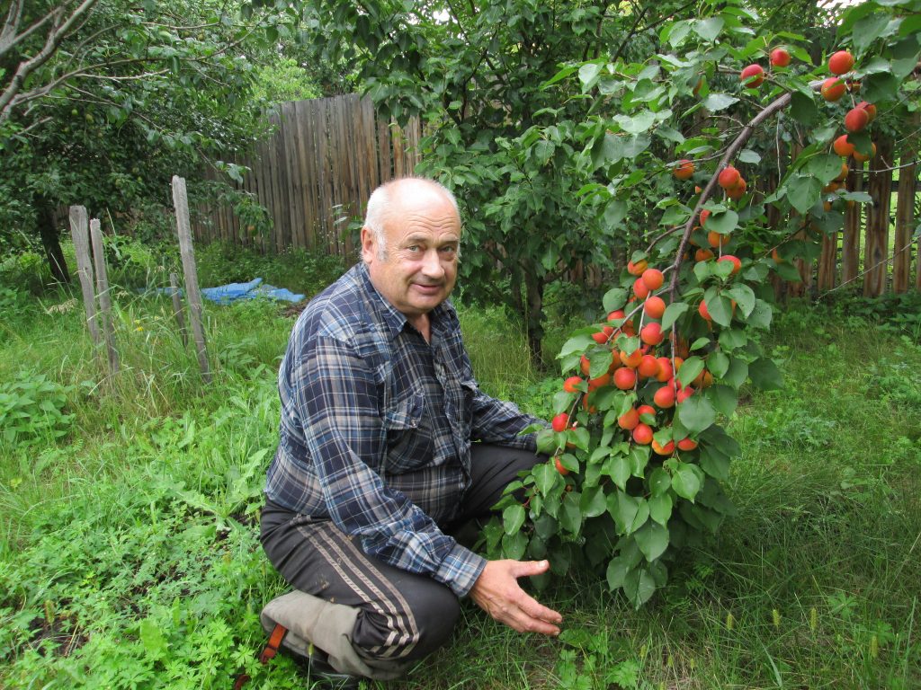 Садовод в своем саду