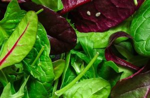 Свіжа зелень для салатів