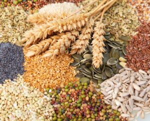 хранение семян