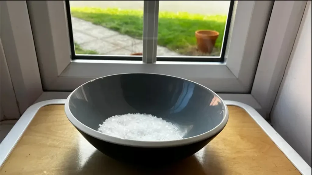 соль