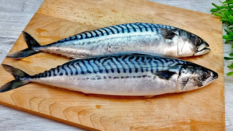 скумбрія