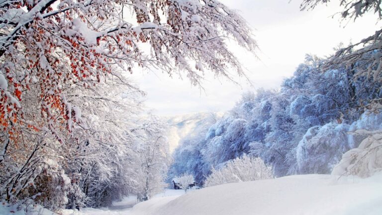 Обзор погодных условий в Украине на неделю 16 – 22 января  и погода на 16 января