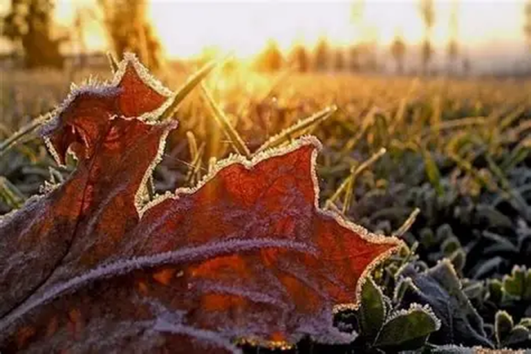 снег осенью