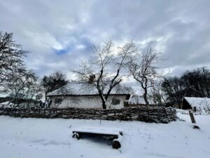 снежная зима