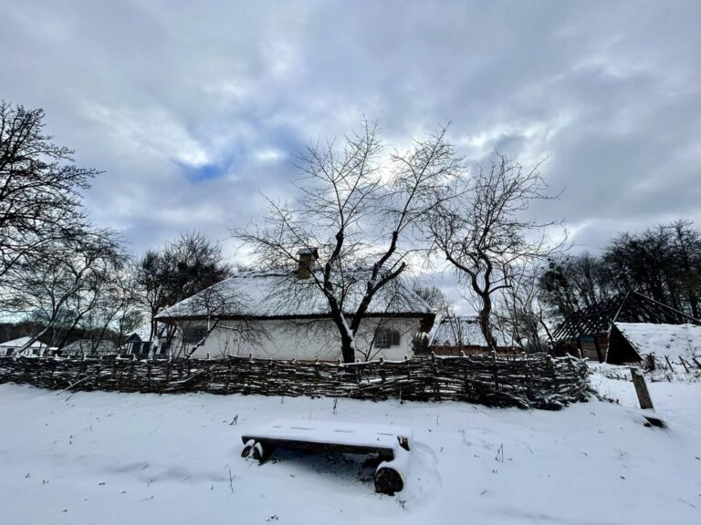 снежная зима