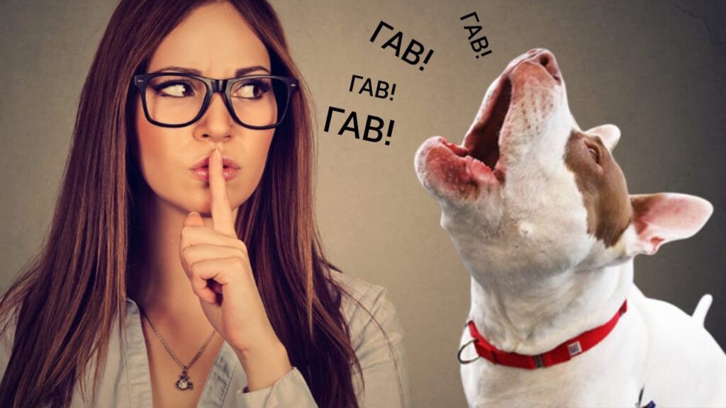 Как отучить собаку лаять на гостей?